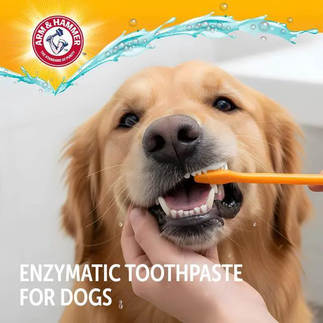 Alt view image 4 of 7 - Complete Care Enzymatic Dog Toothpaste with Baking Soda and Calcium, Fluoride-Free Chicken Flavor for Plaque, Tartar, and Fresh Breath, 6.2 Oz Value Size