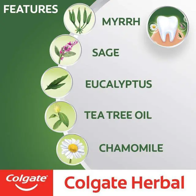 Alt view image 3 of 6 - Herbal Toothpaste 7 oz
