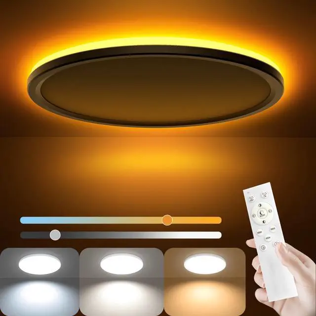 Main image of 12 Inch LED Ceiling Light Dimmable - 24W 2400LM Modern Hardwiring Ceiling Lamp with Remote - 6W Night Light Warm - LED Flush Mount Ceiling Lights for Bedroom Kitchen Living Room Round (White)