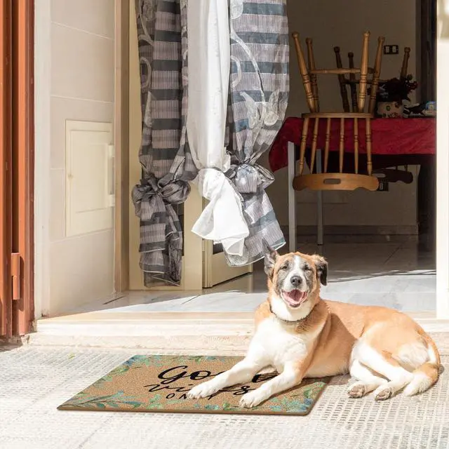Alt view image 4 of 7 - Funny Good Vibes Only Faux Coco Coir Doormat Door Mat for Home House Entrance, Inspirational Farmhouse Cottagecore Botanical Floor Mats for Outdoor Outside Entryway 30x17 Welcome Mat