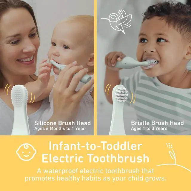 Alt view image 2 of 7 - PureBaby Infant-to-Toddler Electric Toothbrush - Waterproof Baby & Toddler Toothbrush with Silicone & Bristle Heads, Sonic Vibration, & Timer - Ages 6 Mo-3 Yrs (Sage Green)