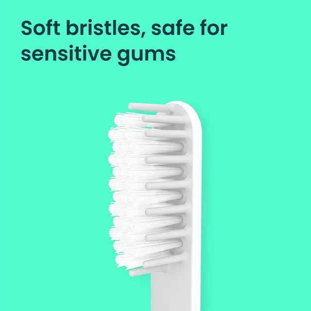 Alt view image 2 of 7 - Sonic Toothbrush Replacement Heads for Adults - 3 Pack - Verified quip Standard Brush Head Refills for Electric Toothbrushes - Soft Bristles, Compact & Flexible - Last 3 Months Each