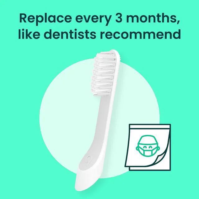 Alt view image 4 of 7 - Sonic Toothbrush Replacement Heads for Adults - 3 Pack - Verified quip Standard Brush Head Refills for Electric Toothbrushes - Soft Bristles, Compact & Flexible - Last 3 Months Each