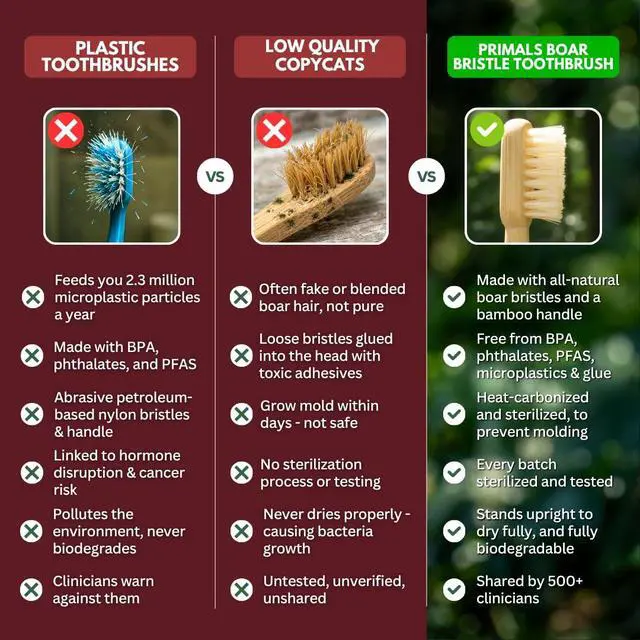 Alt view image 6 of 7 - Boar Bristle & Bamboo Toothbrush (4-Pack) - Premium Boar Bristles - Fully Biodegradable - Plastic & Nylon Free - Quick Dry Design