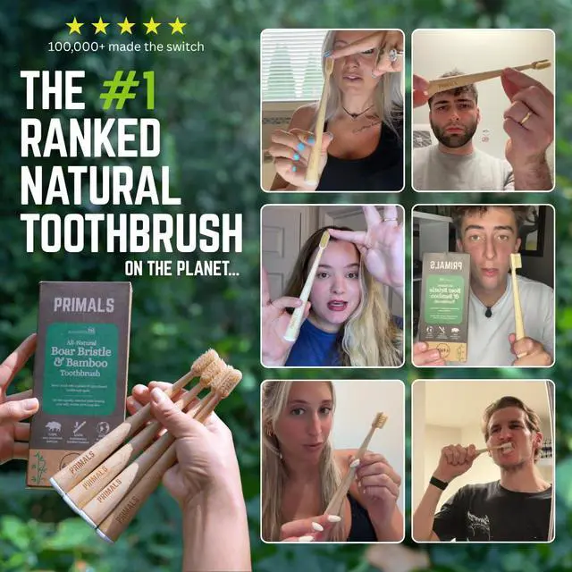 Alt view image 3 of 7 - Boar Bristle & Bamboo Toothbrush (4-Pack) - Premium Boar Bristles - Fully Biodegradable - Plastic & Nylon Free - Quick Dry Design