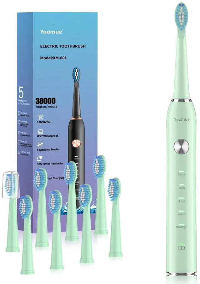 Main image of Sonic Electric Toothbrush for Adults & Kids - 5 High-Performance Modes, 8 Replacement Heads, 2.5-Hour Fast Charge, Built-in Smart 2-Minute Timer, IPX7 Waterproof, 35Day Battery Life Light Green