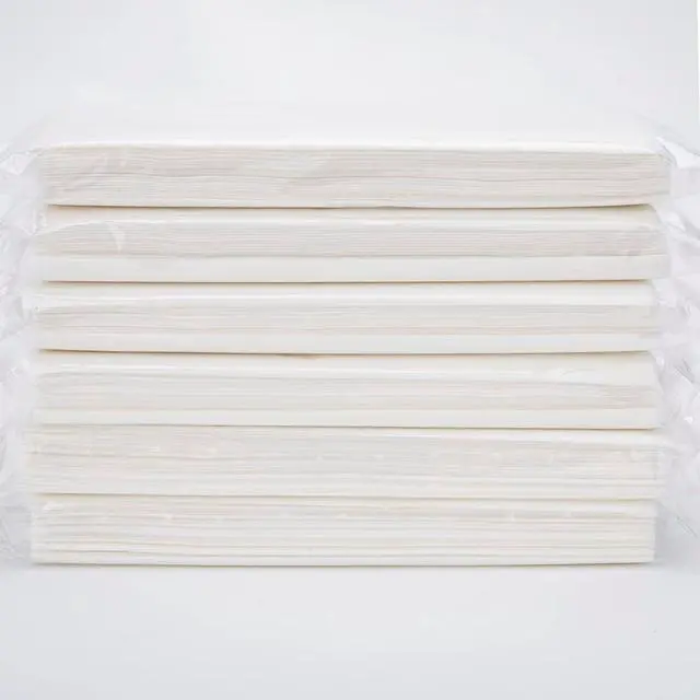 Main image of Car Tissue Refills,Facial Napkin Refills for Car Visor tissue holder,300 Sheets, 6 Packs (6 Pack)