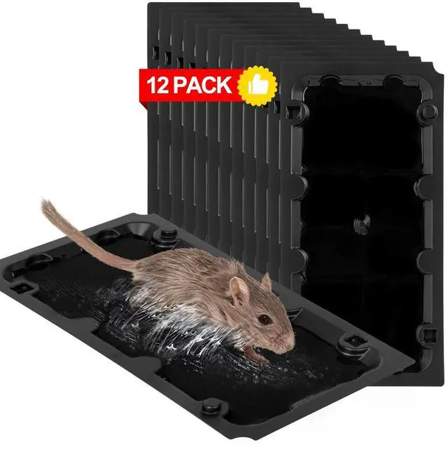 Main image of 12 Pack Sticky Mouse Trap Rat Traps Indoor, Peanut Taste Pheromone Mouse Traps Indoor for Home, Glue Sticky Traps for Mice and Rats, Snake