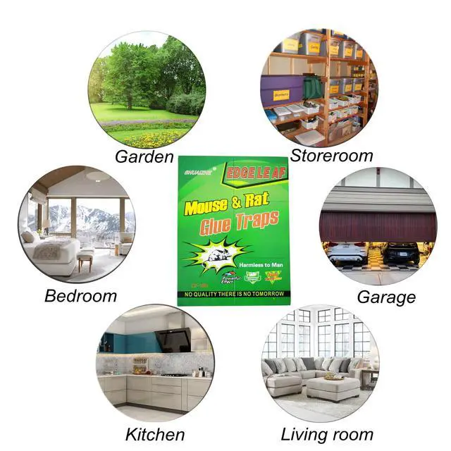Alt view image 6 of 6 - 10 Pack Large Mouse Glue Traps with Enhanced Stickiness Glue Traps for Rat, Rodent and Household Traps Sticky Pad Board for House Indoor