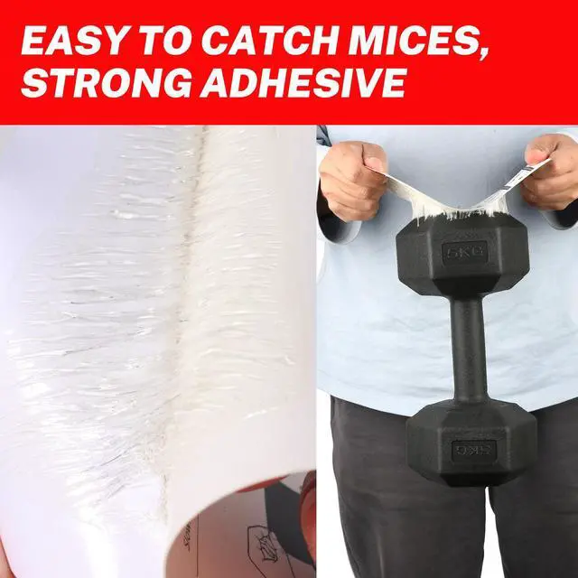 Alt view image 2 of 6 - Mouses Traps Indoor for Home Sticky Insect Glue Adhesive for Catching Bugs, Rats, Rodents Non Toxic Bulk Glue Boards