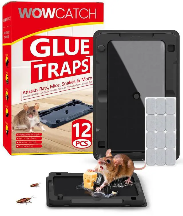 Main image of Sticky Mouse Traps Indoor for Home - 12 Pack Glue Traps for Roaches, Spider, Lizard, Rodent Catcher for Kitchen, Garage, Glue Boards for Insects, Pet Safe Pest Control, Non-Toxic, Small Size