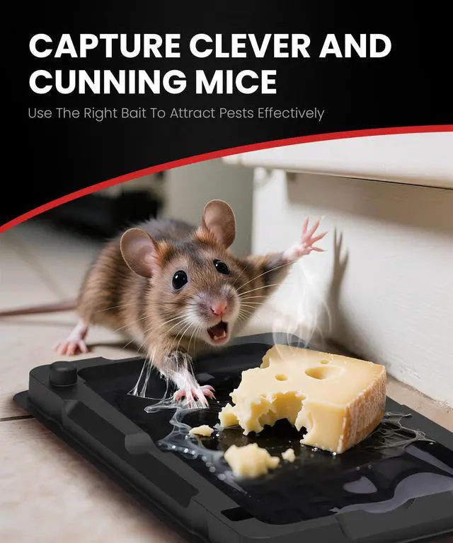 Alt view image 2 of 7 - Sticky Mouse Traps Indoor for Home - 12 Pack Glue Traps for Roaches, Spider, Lizard, Rodent Catcher for Kitchen, Garage, Glue Boards for Insects, Pet Safe Pest Control, Non-Toxic, Small Size