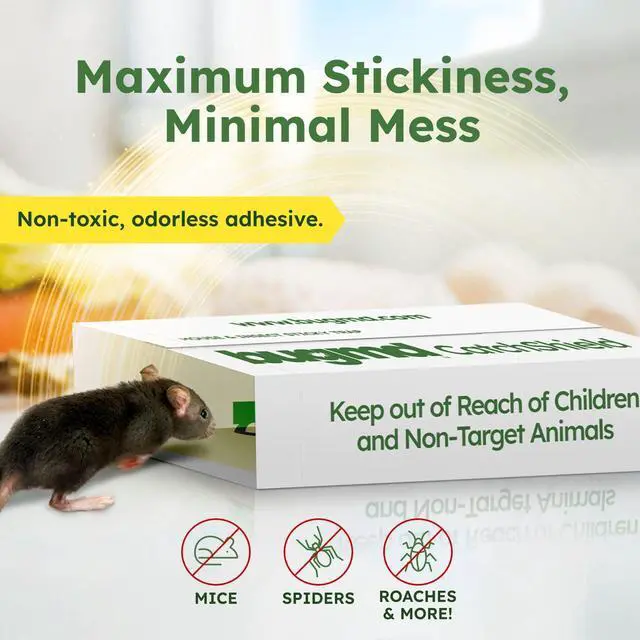 Alt view image 2 of 7 - CatchShield Glue & Sticky Traps for Mice, Rats & Insects Non-Toxic Pest Control, 24-Pack, Pet & Family Friendly, Extra-Strength, Ready-to-Use Adhesive Traps