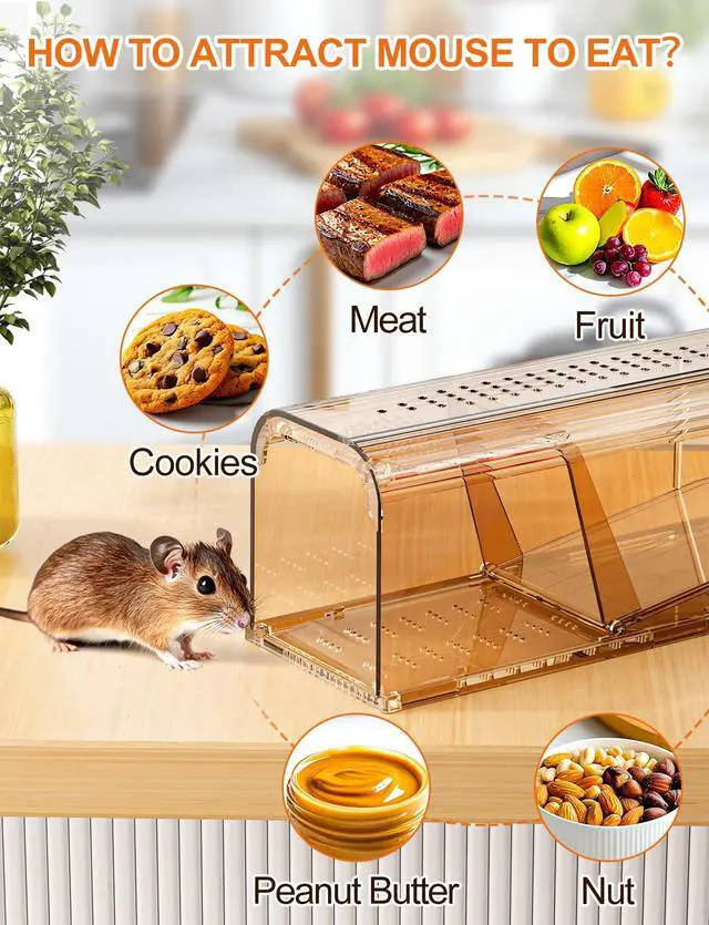 Alt view image 6 of 7 - Pack Mouse Traps No Kill Humane Mouse Traps Indoor for Home Catch and Release Reusable with Cleaning Brush Small Mice Traps for Mice/Rodent