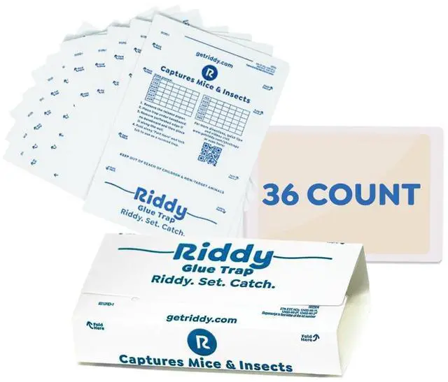 Main image of Glue Boards, 36 Boards, Pre-Baited, Ready to Use Mouse Traps Indoor for Home, Sticky Adhesive for Bugs and Rodents, 5.5" x 7.5"