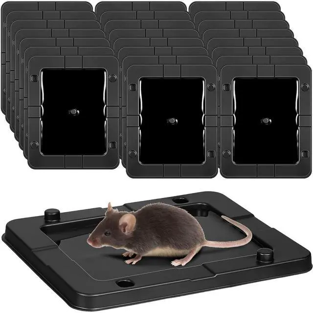 Main image of Pack Mouse Insect Glue Traps Bulk Strong Sticky Mouse Traps Large Baited Glue Trays for Mice Snakes Indoor Rodent Killer Plastic Sticky Non Toxic Killer for Home Indoor Outdoor
