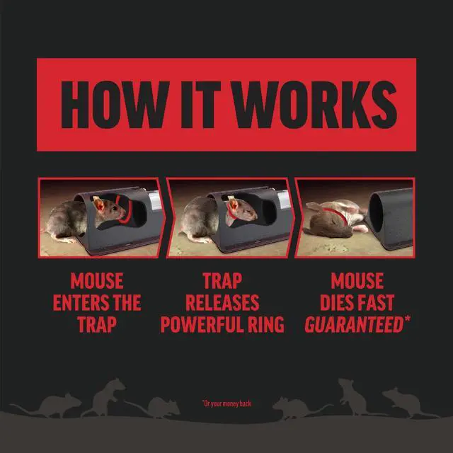 Alt view image 7 of 7 - Mouse Trap, Kills 12 Mice, Plum