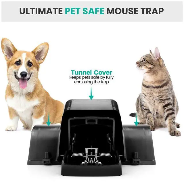 Alt view image 3 of 7 - Pet-Safe & Child-Safe Rat Traps w/Tunnel Design Dual Entry for Better Capture Rate - No Harmful Poison - Prevents Accidental Triggering - Avoid Finger Snapping - Setup in Seconds. (3 Pack)