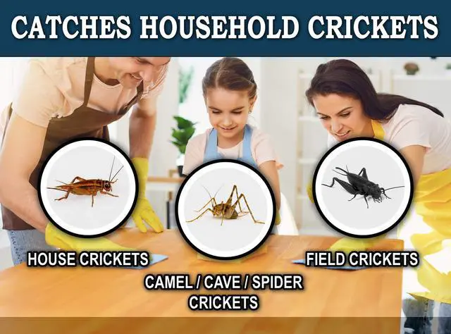 Alt view image 4 of 6 - Extra Large Cricket Traps (8 Traps) | Non-Toxic Extra Sticky Glue Board Pre-Baited Cricket Attractant Trap & Kill House Crickets, Insects, Spiders, Bugs