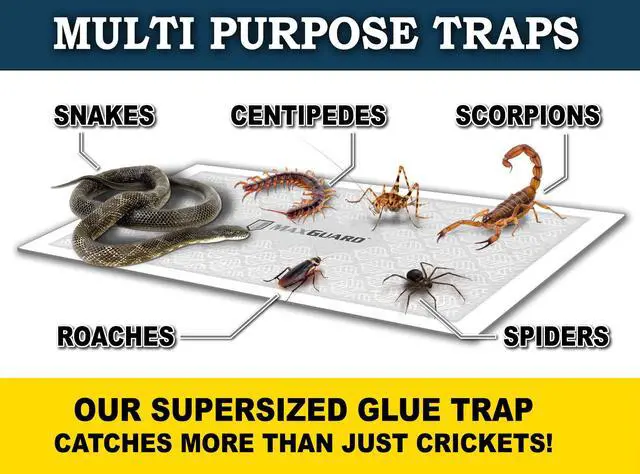 Alt view image 5 of 6 - Extra Large Cricket Traps (8 Traps) | Non-Toxic Extra Sticky Glue Board Pre-Baited Cricket Attractant Trap & Kill House Crickets, Insects, Spiders, Bugs