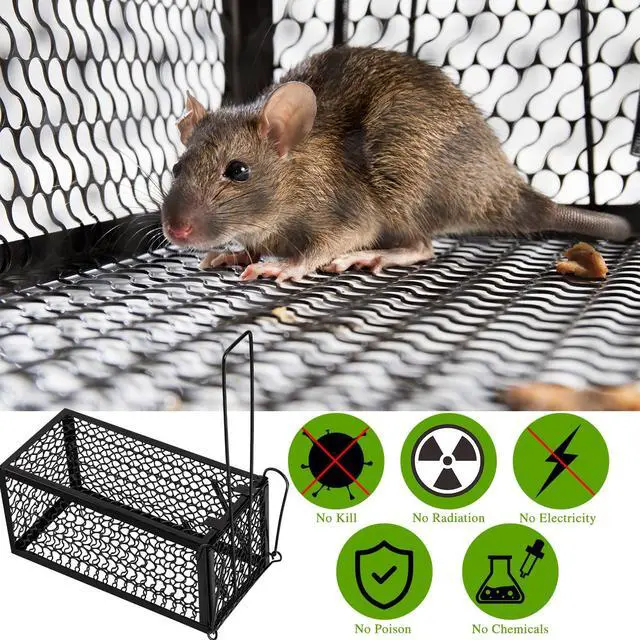 Alt view image 7 of 7 - Pcs Humane Rat Trap Chipmunk Rodent Mouse Squirrel Trap 9.1 x 4.5 x 4.5 Inches Live Animal Mouse Voles Hamsters Live Cage Rat Cage for Mice Easy to Catch and Release (Black)