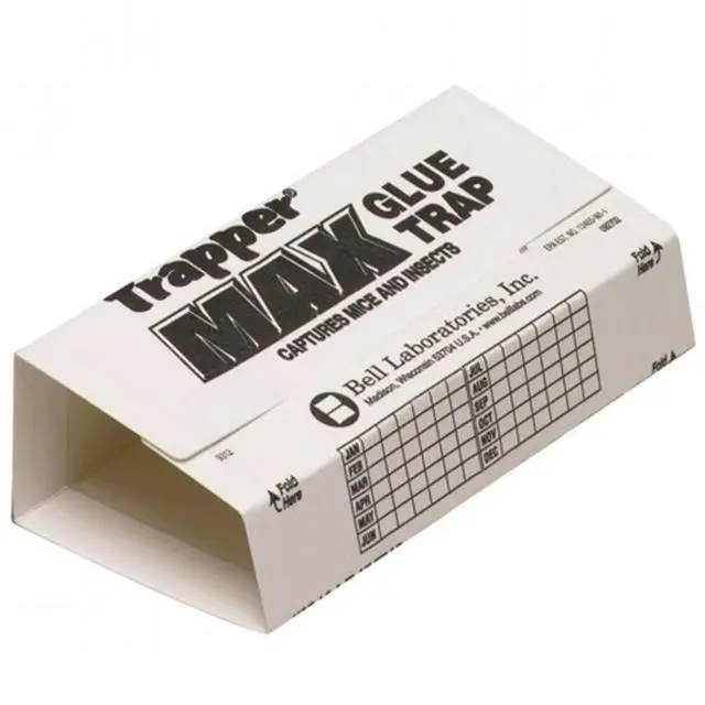 Main image of Glue Traps 72 Glue Boards Trap Mouse Bugs Insects Bed Bugs Spiders Cockroaches Non-Toxic, w