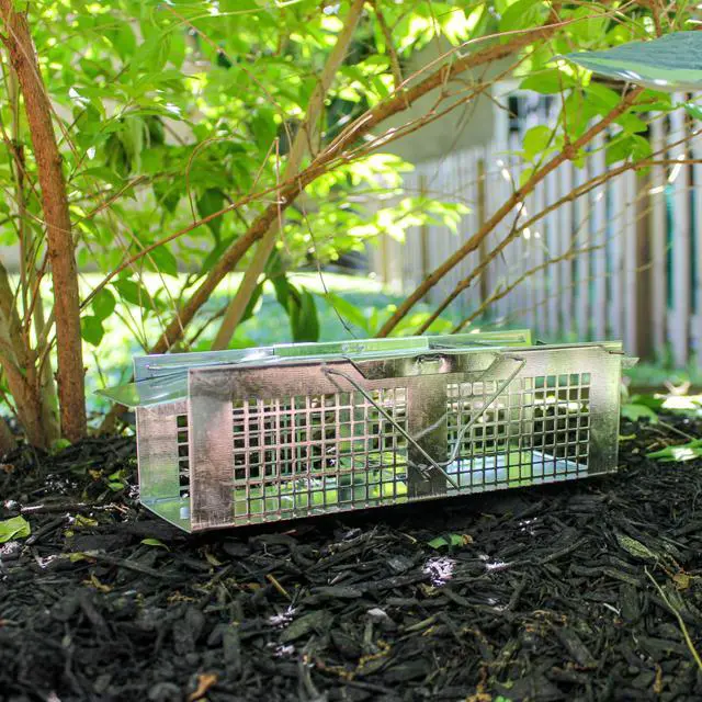 Alt view image 2 of 7 - X-Small Animal Trap, 2-Door Humane Trap for Mice, Voles, Shrews