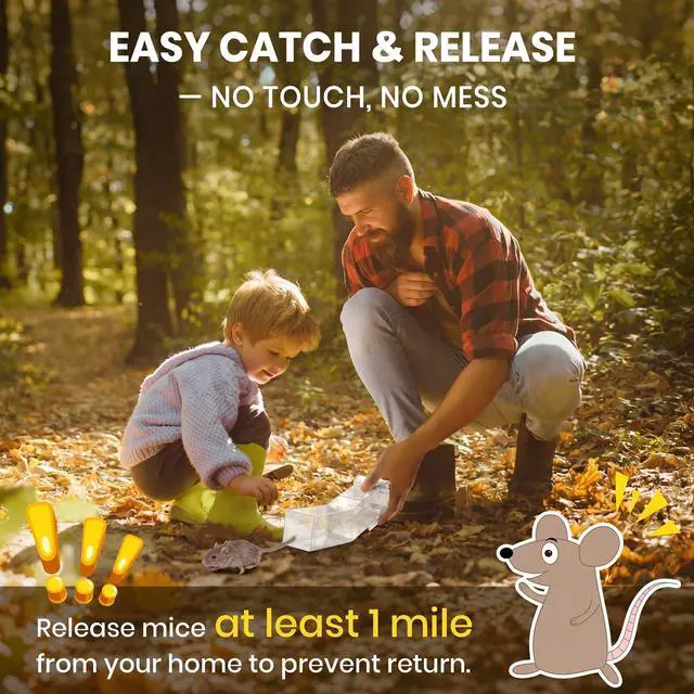 Alt view image 3 of 7 - Pack Humane Mouse Traps Indoor, No Kill Mice Trap with Air Hole, Catch and Release Live Mouse Traps for Home, Safe Have A Heart Rat Trap, Reusable Mousetrap Catcher Outdoor