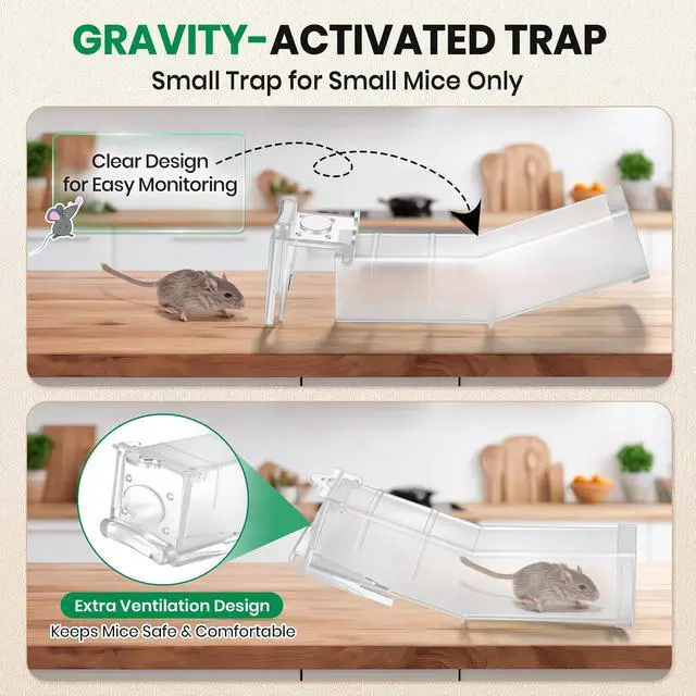 Alt view image 2 of 7 - Pack Humane Mouse Traps Indoor, No Kill Mice Trap with Air Hole, Catch and Release Live Mouse Traps for Home, Safe Have A Heart Rat Trap, Reusable Mousetrap Catcher Outdoor