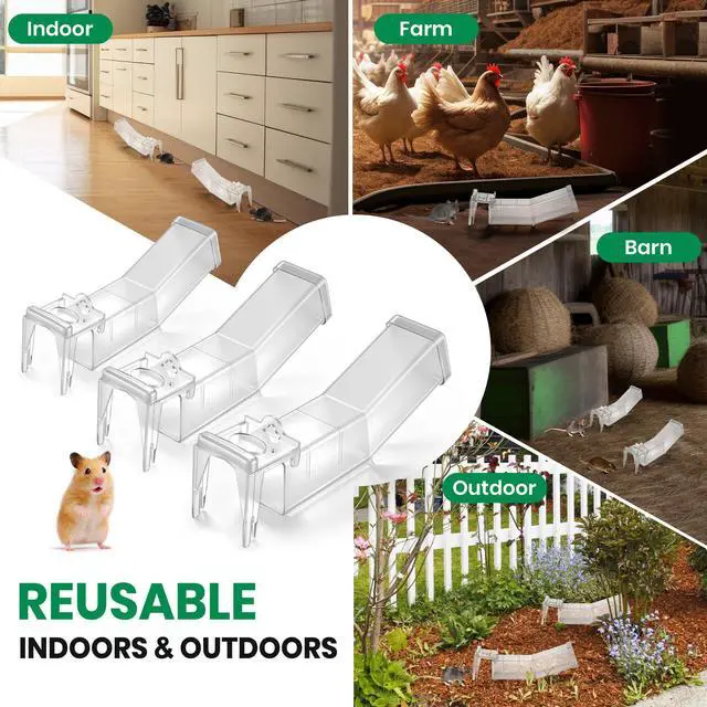 Alt view image 7 of 7 - Pack Humane Mouse Traps Indoor, No Kill Mice Trap with Air Hole, Catch and Release Live Mouse Traps for Home, Safe Have A Heart Rat Trap, Reusable Mousetrap Catcher Outdoor