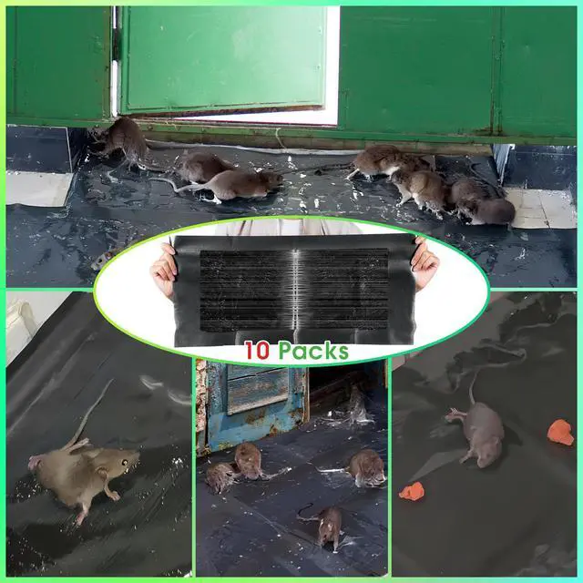 Alt view image 4 of 7 - Mouse Glue Traps, Anti Slip Rat Snake Rodent Sticky Pads Pet Friendly, Peanut Scented Mice Glue Board that Work for Home Indoor Outdoor Restaurant Kitchen Hotel Office