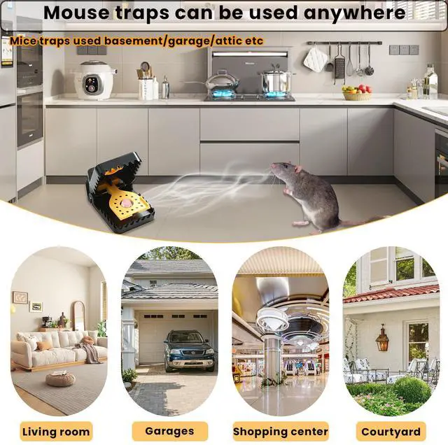 Alt view image 7 of 7 - Mouse Traps Humane