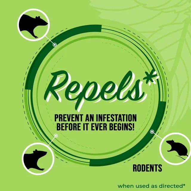 Alt view image 3 of 7 - Peppermint Oil Rodent Repellent Spray Natural Indoor & Outdoor Control for Mice and Rats Plant-Based, Extra-Strong Formula - 16 oz