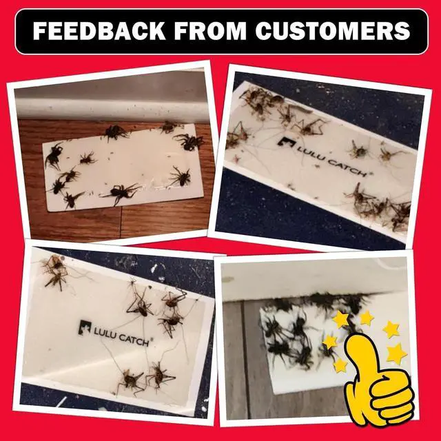Alt view image 5 of 7 - Mouse Traps, 20Pack Pre-Baited Sticky Mouse Traps Indoor for Home, Non-Toxic Bulk Sticky Pads, Glue Traps for Rats, Bugs, Spider, Mice, Cockroach, Pet Safe, Easy to Use