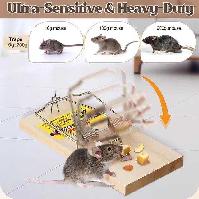 Alt view image 3 of 7 - Pack Large Wooden Mouse Traps, Heavy Duty Rat Snap Traps with Metal Pedal, Sturdy Reusable Mousetraps for Fast Capture of Large Rats & Rodents, Safe for Indoor & Outdoor Use