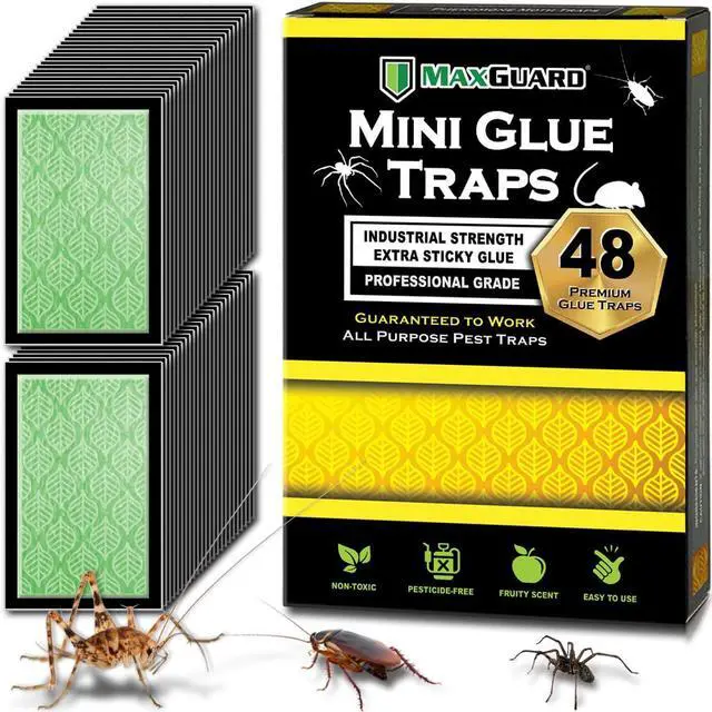 Main image of Mini Glue Traps (48 Traps) Non-Toxic Extra Sticky Glue Board Pre-Baited with Fruity Scent Attractant Trap & Kill Insects, Bugs, Spiders, Crickets, Scorpions, Cockroaches, Centipedes, Mice