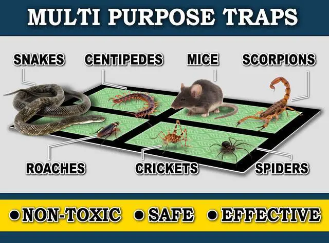 Alt view image 4 of 5 - Mini Glue Traps (48 Traps) Non-Toxic Extra Sticky Glue Board Pre-Baited with Fruity Scent Attractant Trap & Kill Insects, Bugs, Spiders, Crickets, Scorpions, Cockroaches, Centipedes, Mice
