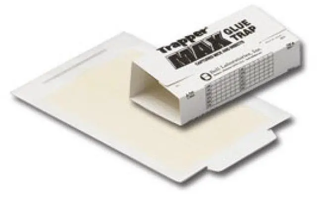 Main image of Glue Traps 12 Glue Boards Trap Mouse Bugs Insects Bed Bugs Spiders Cockroaches Non-Toxic