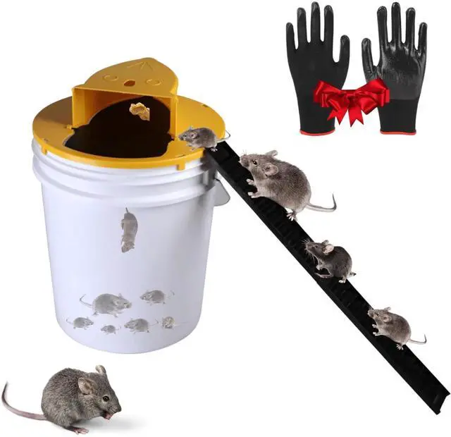 Main image of Bucket Lid Mouse Trap, Mouse Trap Bucket - Mouse Traps Indoor for Home - Auto Reset, Multi Catch, Reusable 5 Gallon Bucket Lid Rat Traps Indoor Outdoor Rat & Mouse Traps, ABS Material, (Gloves)