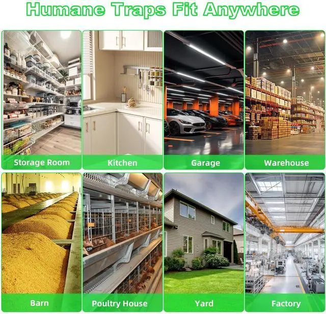 Alt view image 7 of 7 - Humane Rat Traps 2-Pack, No Kill Small Animal Cage Trap, Live Mouse Trap Cage Catch and Release, Trampa para Ratones, Chipmunk Rodent Trap that Work for Indoor and Outdoor
