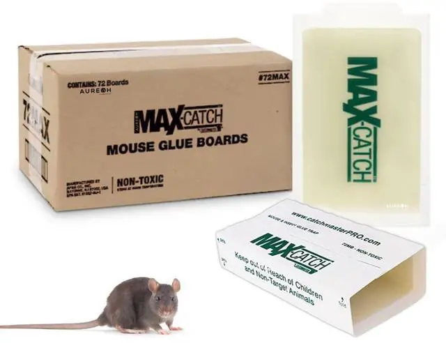 Main image of Glueboards QTY 12 Glueboards 602534 by Catchmaster