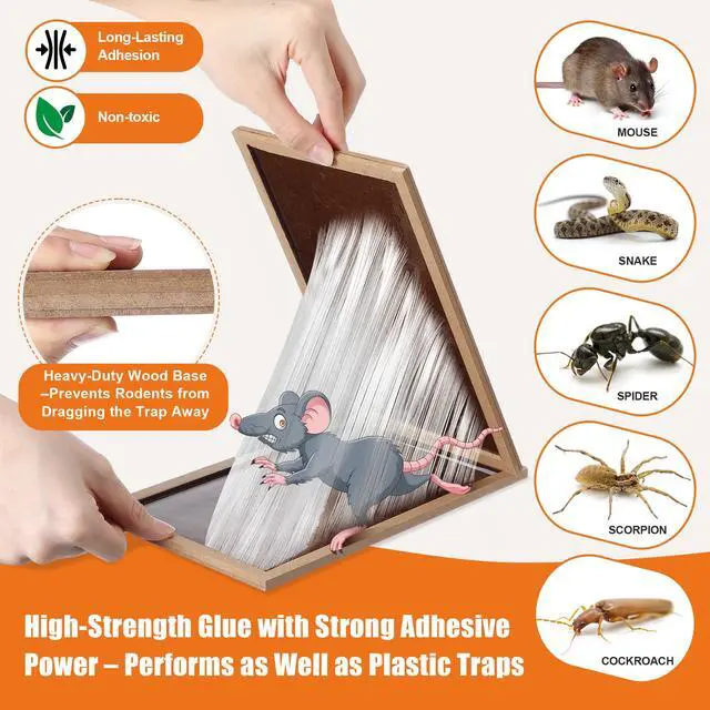 Alt view image 4 of 7 - Pack Large Mouse Glue Traps, Heavy Duty Wood Rat Traps, Snake Sticky Board with Enhanced Stickiness for Indoor & Outdoor, Pre-Scented Peanut Taste, Non-Toxic, Sturdy Wooden Tray, Pet Safe