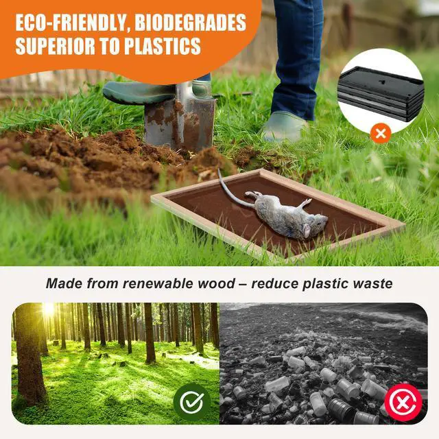 Alt view image 5 of 7 - Pack Large Mouse Glue Traps, Heavy Duty Wood Rat Traps, Snake Sticky Board with Enhanced Stickiness for Indoor & Outdoor, Pre-Scented Peanut Taste, Non-Toxic, Sturdy Wooden Tray, Pet Safe
