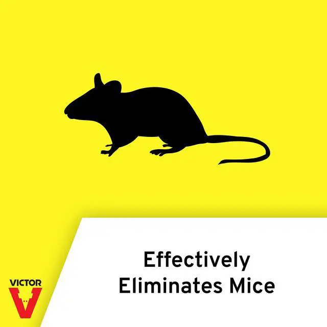 Alt view image 2 of 7 - Power-Kill Easy Set Mouse Trap - 2 Reusable Mouse Traps