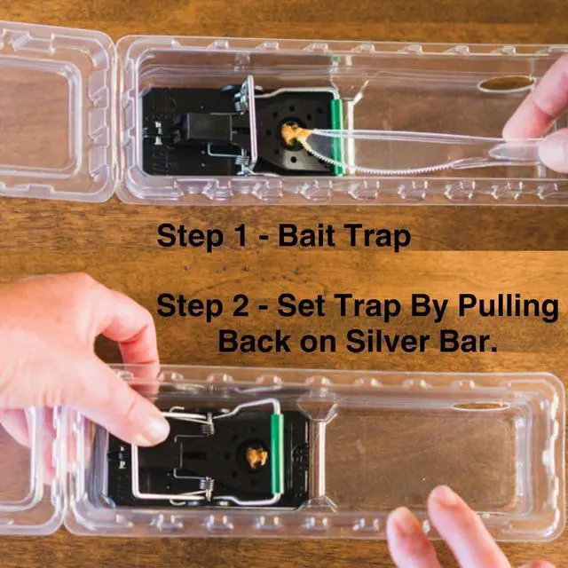 Alt view image 2 of 7 - Clear Enclosed Mouse Trap | Highly Effective and Keeps the Mess with the Mouse | Patented Click-It Closure Technology | Safe for Kids & Pets | Certified Child Resistant | Made in USA (3)