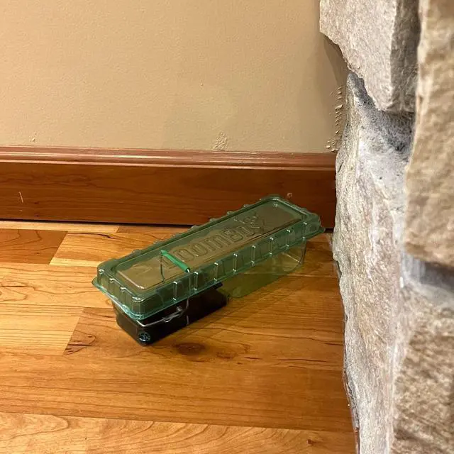 Alt view image 4 of 7 - Green Enclosed Mouse Trap | Keeps The Mess with The Mouse | Patented Click-It Closure Technology | Safe for Kids & Pets | Certified Child Resistant | Made in USA (5-Pack Green)