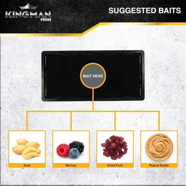 Alt view image 7 of 7 - Rat Mouse Rodent Pest Glue Trap (Large Size) Tray Heavy Duty (5 Pack/ 10 Traps) with Connectors