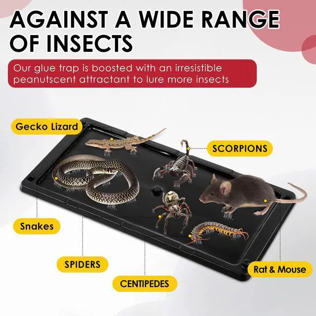 Alt view image 3 of 7 - Pack Rat Glue Traps 10x5 Inch, Pre-Baited Heavy Duty Mouse Sticky Traps for Mice Snakes Roaches, Large Adhesive Glue Boards with Peanut Scent, No Touch Disposal, Indoor Outdoor (Black)