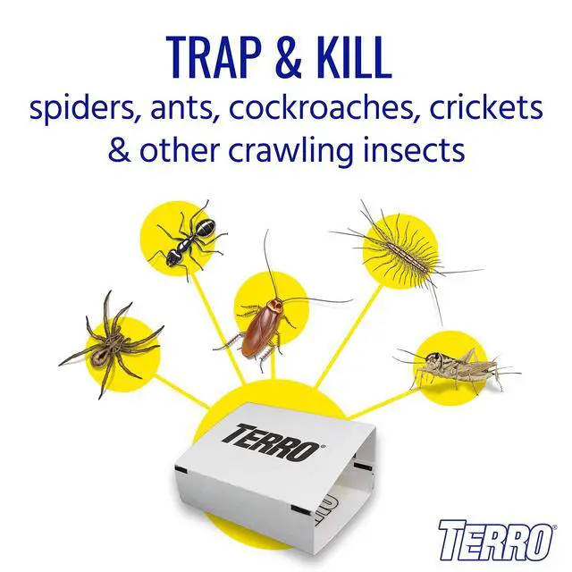 Alt view image 2 of 7 - Spider & Insect Trap, 10-Pack Sticky Glue Traps