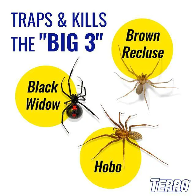 Alt view image 3 of 7 - Spider & Insect Trap, 10-Pack Sticky Glue Traps